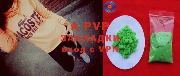 PSILOCYBIN Дмитриев