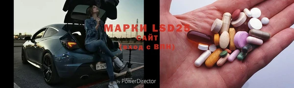 PSILOCYBIN Дмитриев