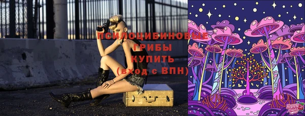 PSILOCYBIN Дмитриев