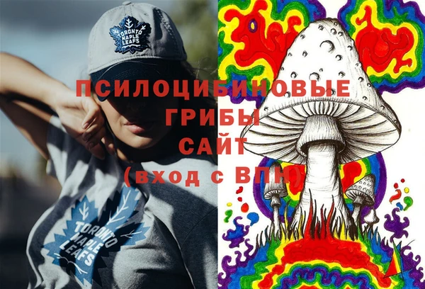 соль ск Дмитров