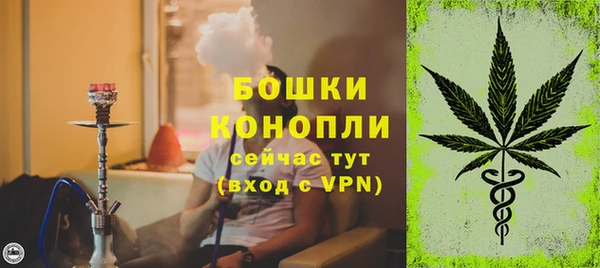 соль ск Дмитров