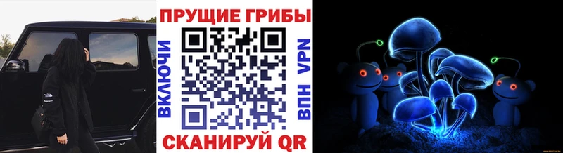 Псилоцибиновые грибы MAGIC MUSHROOMS  ОМГ ОМГ   Завитинск 